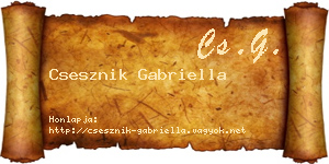 Csesznik Gabriella névjegykártya